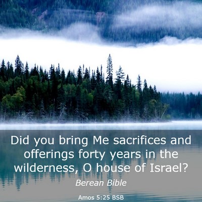 Picture 03 - Amos 5:25 BSB - Did you bring Me sacrifices and offerings forty - Bible Verse Picture