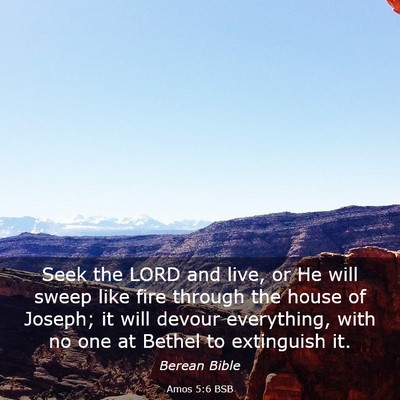Picture 03 - Amos 5:6 BSB - Seek the LORD and live, or He will sweep like - Bible Verse Picture