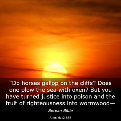Picture 03 - Amos 6:12 BSB - “Do horses gallop on the cliffs? Does one plow - Bible Verse Picture