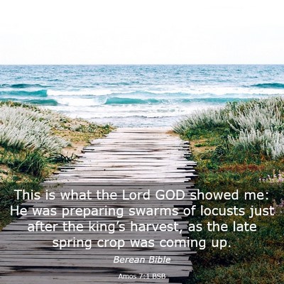 Picture 03 - Amos 7:1 BSB - This is what the Lord GOD showed me: He was - Bible Verse Picture