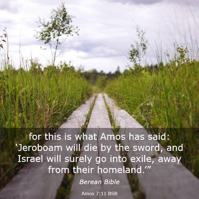 Picture 03 - Amos 7:11 BSB - for this is what Amos has said: ‘Jeroboam will - Bible Verse Picture