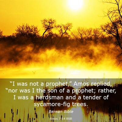 Picture 03 - Amos 7:14 BSB - “I was not a prophet,” Amos replied, “nor - Bible Verse Picture