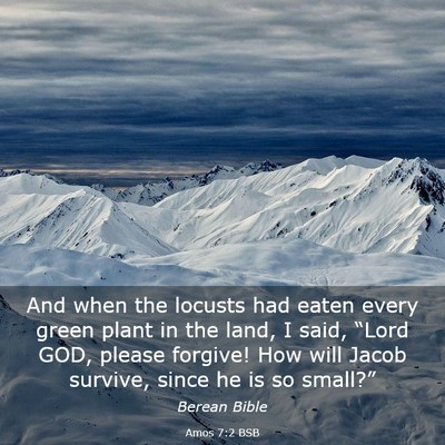 Picture 03 - Amos 7:2 BSB - And when the locusts had eaten every green plant - Bible Verse Picture