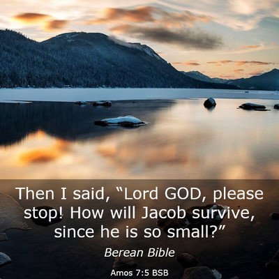 Picture 03 - Amos 7:5 BSB - Then I said, “Lord GOD, please stop! How will - Bible Verse Picture