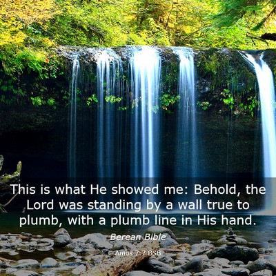 Picture 03 - Amos 7:7 BSB - This is what He showed me: Behold, the Lord was - Bible Verse Picture