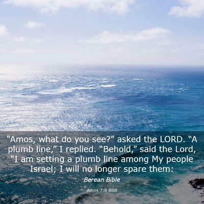Picture 03 - Amos 7:8 BSB - “Amos, what do you see?” asked the LORD. “A - Bible Verse Picture