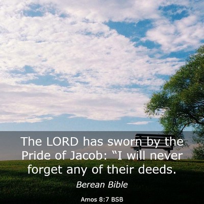 Picture 03 - Amos 8:7 BSB - The LORD has sworn by the Pride of Jacob: “I - Bible Verse Picture