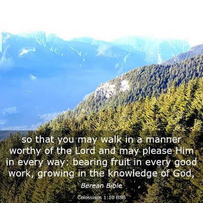 Picture 03 - Colossians 1:10 BSB - so that you may walk in a manner worthy of the - Bible Verse Picture