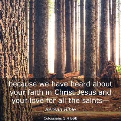 Picture 03 - Colossians 1:4 BSB - because we have heard about your faith in Christ - Bible Verse Picture