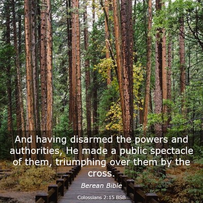Picture 03 - Colossians 2:15 BSB - And having disarmed the powers and authorities, - Bible Verse Picture