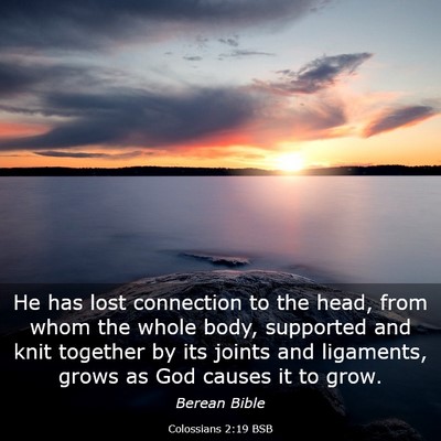 Picture 03 - Colossians 2:19 BSB - He has lost connection to the head, from whom the - Bible Verse Picture