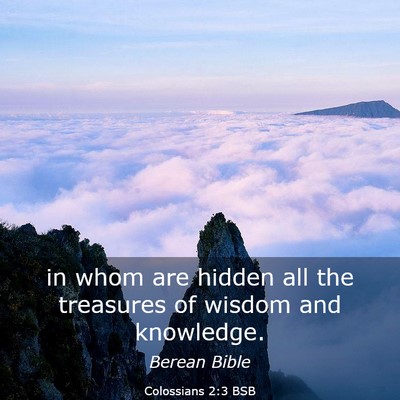 Picture 03 - Colossians 2:3 BSB - in whom are hidden all the treasures of wisdom - Bible Verse Picture
