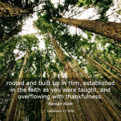 Picture 03 - Colossians 2:7 BSB - rooted and built up in Him, established in the - Bible Verse Picture