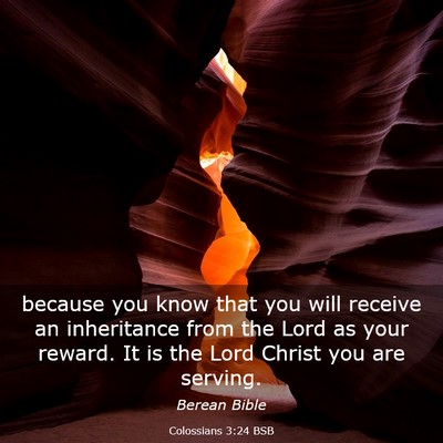 Picture 03 - Colossians 3:24 BSB - because you know that you will receive an - Bible Verse Picture