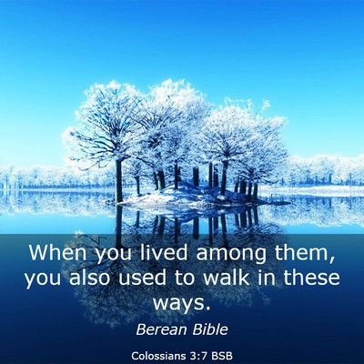 Picture 03 - Colossians 3:7 BSB - When you lived among them, you also used to walk - Bible Verse Picture