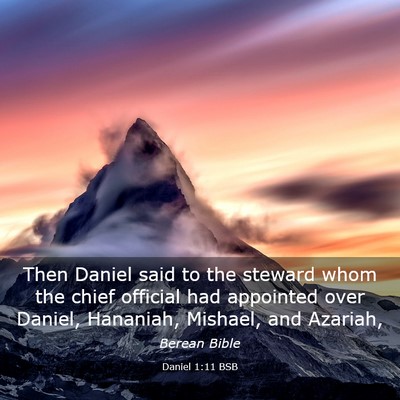 Picture 03 - Daniel 1:11 BSB - Then Daniel said to the steward whom the chief - Bible Verse Picture