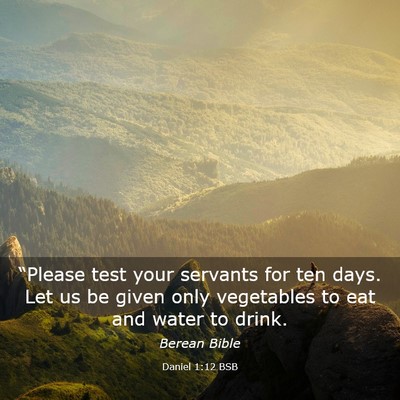 Picture 03 - Daniel 1:12 BSB - “Please test your servants for ten days. Let us - Bible Verse Picture