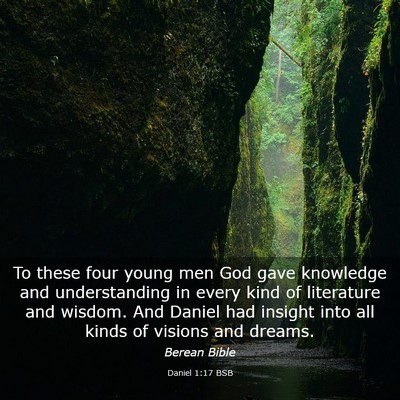 Picture 03 - Daniel 1:17 BSB - To these four young men God gave knowledge and - Bible Verse Picture