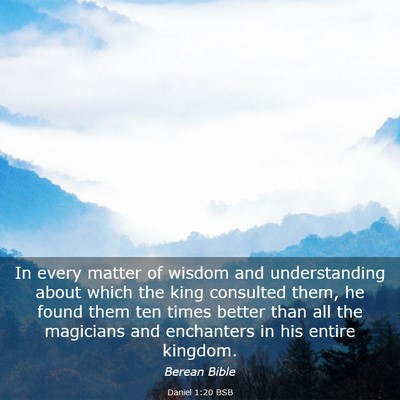 Picture 03 - Daniel 1:20 BSB - In every matter of wisdom and understanding about - Bible Verse Picture