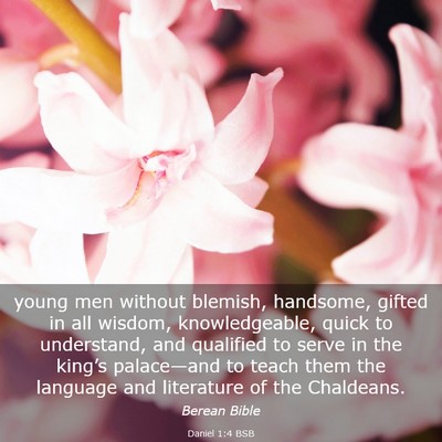 Picture 03 - Daniel 1:4 BSB - young men without blemish, handsome, gifted in - Bible Verse Picture