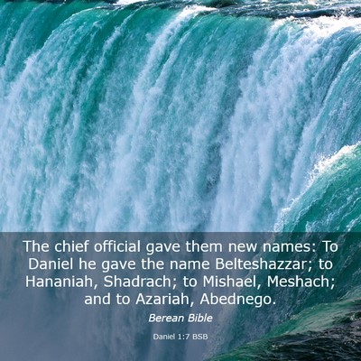Picture 03 - Daniel 1:7 BSB - The chief official gave them new names: To Daniel - Bible Verse Picture