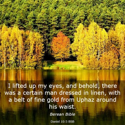 Picture 03 - Daniel 10:5 BSB - I lifted up my eyes, and behold, there was a - Bible Verse Picture