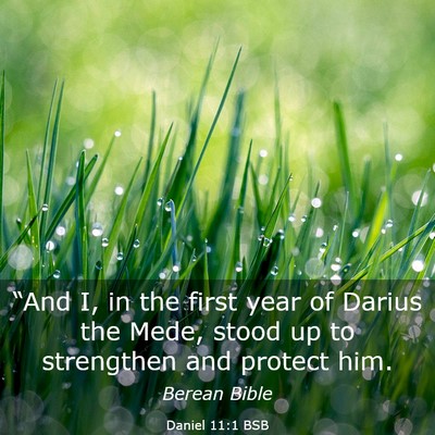 Picture 03 - Daniel 11:1 BSB - “And I, in the first year of Darius the Mede, - Bible Verse Picture
