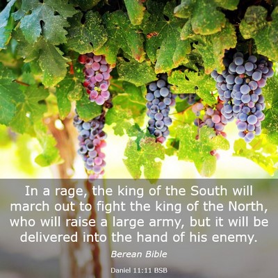 Picture 03 - Daniel 11:11 BSB - In a rage, the king of the South will march out - Bible Verse Picture