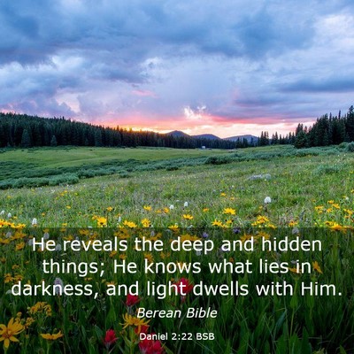 Picture 03 - Daniel 2:22 BSB - He reveals the deep and hidden things; He knows - Bible Verse Picture