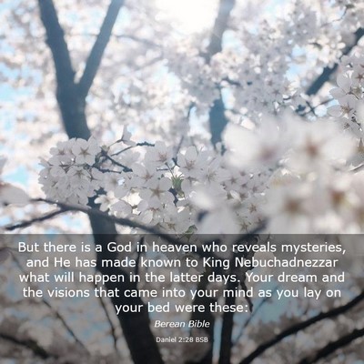 Picture 03 - Daniel 2:28 BSB - But there is a God in heaven who reveals - Bible Verse Picture