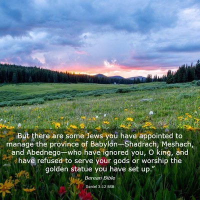 Picture 03 - Daniel 3:12 BSB - But there are some Jews you have appointed to - Bible Verse Picture