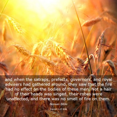Picture 03 - Daniel 3:27 BSB - and when the satraps, prefects, governors, and - Bible Verse Picture