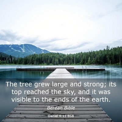 Picture 03 - Daniel 4:11 BSB - The tree grew large and strong; its top reached - Bible Verse Picture
