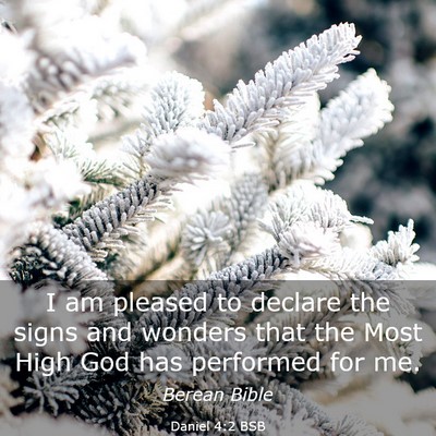 Picture 03 - Daniel 4:2 BSB - I am pleased to declare the signs and wonders - Bible Verse Picture