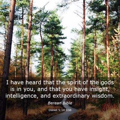 Picture 03 - Daniel 5:14 BSB - I have heard that the spirit of the gods is in - Bible Verse Picture