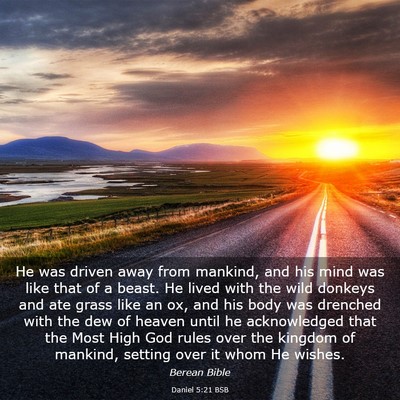 Picture 03 - Daniel 5:21 BSB - He was driven away from mankind, and his mind was - Bible Verse Picture