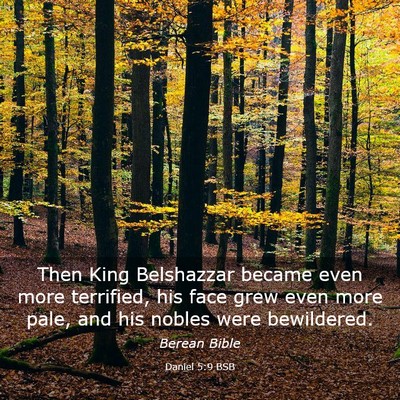 Picture 03 - Daniel 5:9 BSB - Then King Belshazzar became even more terrified, - Bible Verse Picture