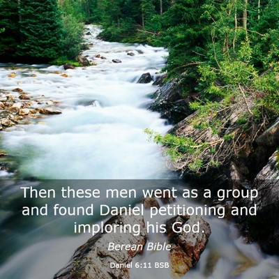 Picture 03 - Daniel 6:11 BSB - Then these men went as a group and found Daniel - Bible Verse Picture