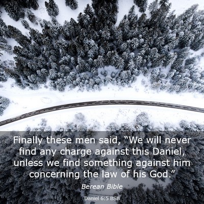 Picture 03 - Daniel 6:5 BSB - Finally these men said, “We will never find any - Bible Verse Picture