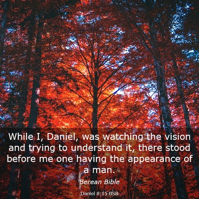 Picture 03 - Daniel 8:15 BSB - While I, Daniel, was watching the vision and - Bible Verse Picture