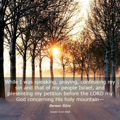 Picture 03 - Daniel 9:20 BSB - While I was speaking, praying, confessing my sin - Bible Verse Picture
