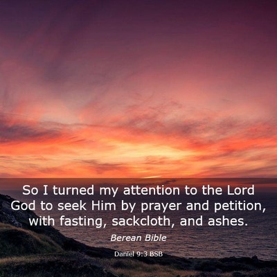 Picture 03 - Daniel 9:3 BSB - So I turned my attention to the Lord God to seek - Bible Verse Picture