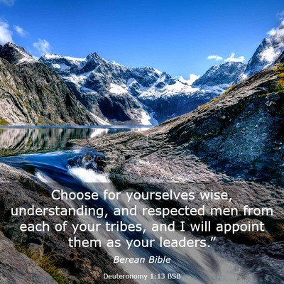 Picture 03 - Deuteronomy 1:13 BSB - Choose for yourselves wise, understanding, and - Bible Verse Picture