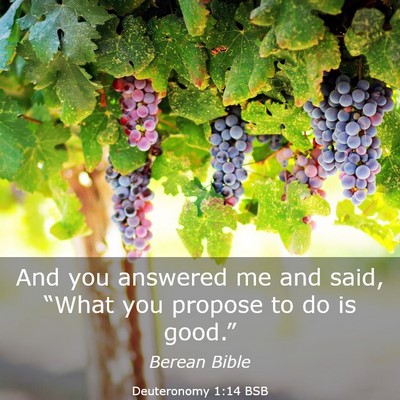 Picture 03 - Deuteronomy 1:14 BSB - And you answered me and said, “What you propose - Bible Verse Picture