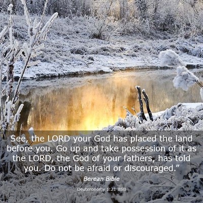 Picture 03 - Deuteronomy 1:21 BSB - See, the LORD your God has placed the land before - Bible Verse Picture