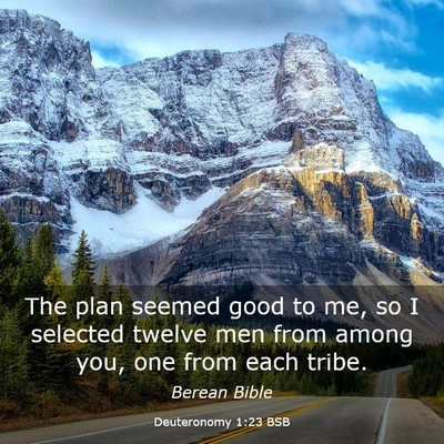 Picture 03 - Deuteronomy 1:23 BSB - The plan seemed good to me, so I selected twelve - Bible Verse Picture