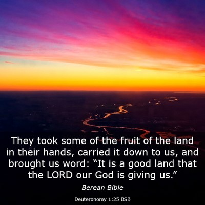 Picture 03 - Deuteronomy 1:25 BSB - They took some of the fruit of the land in their - Bible Verse Picture