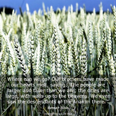 Picture 03 - Deuteronomy 1:28 BSB - Where can we go? Our brothers have made our - Bible Verse Picture