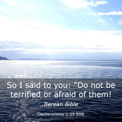 Picture 03 - Deuteronomy 1:29 BSB - So I said to you: “Do not be terrified or - Bible Verse Picture