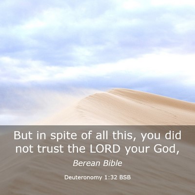 Picture 03 - Deuteronomy 1:32 BSB - But in spite of all this, you did not trust the - Bible Verse Picture